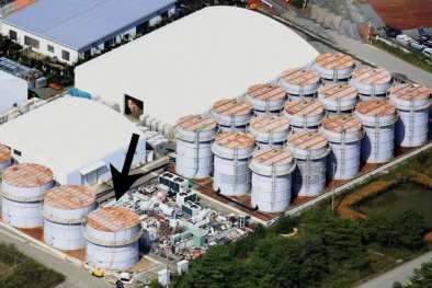 Điện hạt nhân - nguồn năng lượng quan trọng trong tương lai